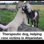 347232144_796372848708457_1174401210237373055_n